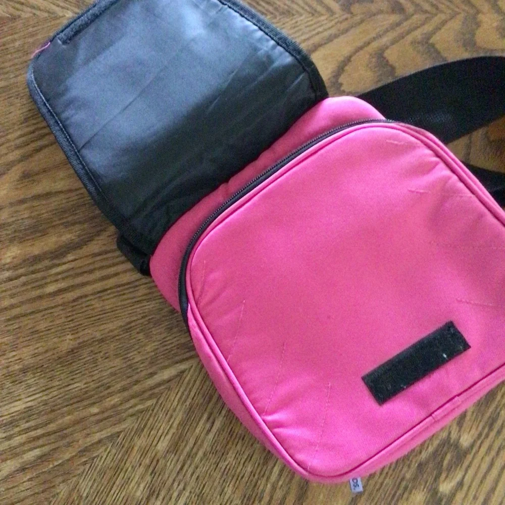 Nintendo handheld game carrying case